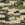 Camo / No
