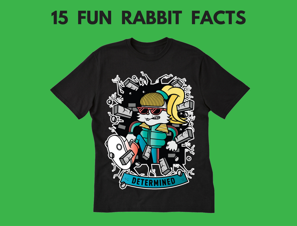 15 Fun Rabbit Facts for Kids